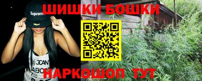 крисы Гатчина