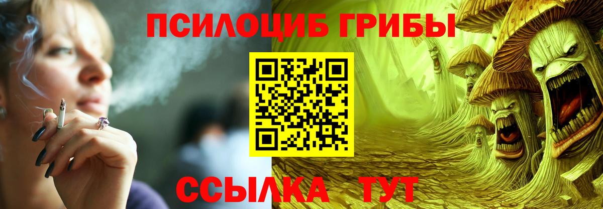 Миллерово  Галлюциногенные грибы мицелий  Вход с VPN 